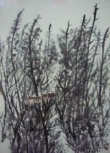 ˮƷ